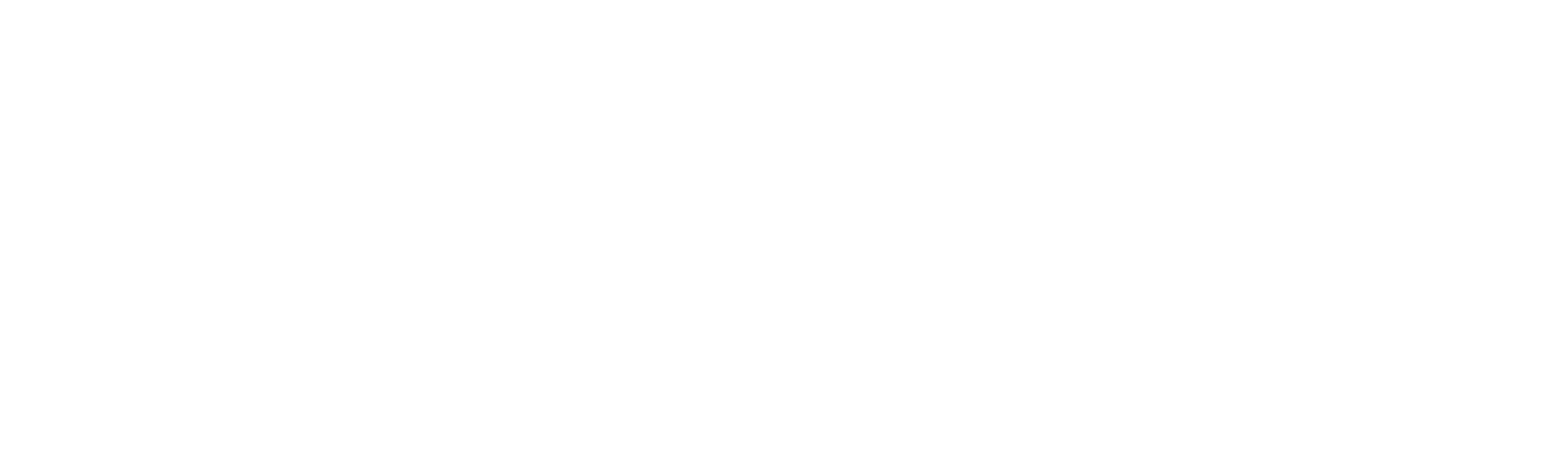 IBNF-logo-forum